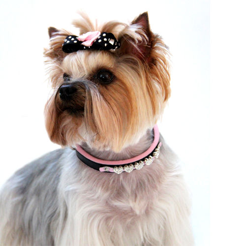 Picture of Pink Diamond Heart Collar.