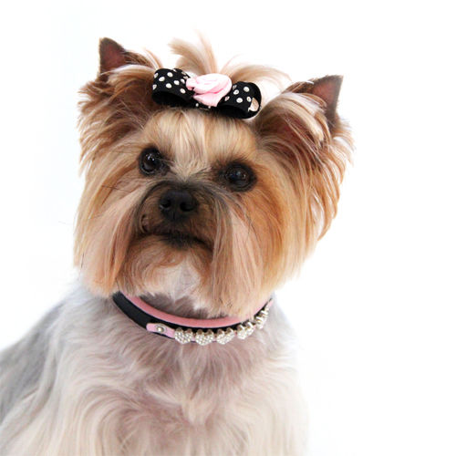 Picture of Pink Diamond Heart Collar.