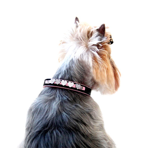 Picture of Pink Diamond Heart Collar.