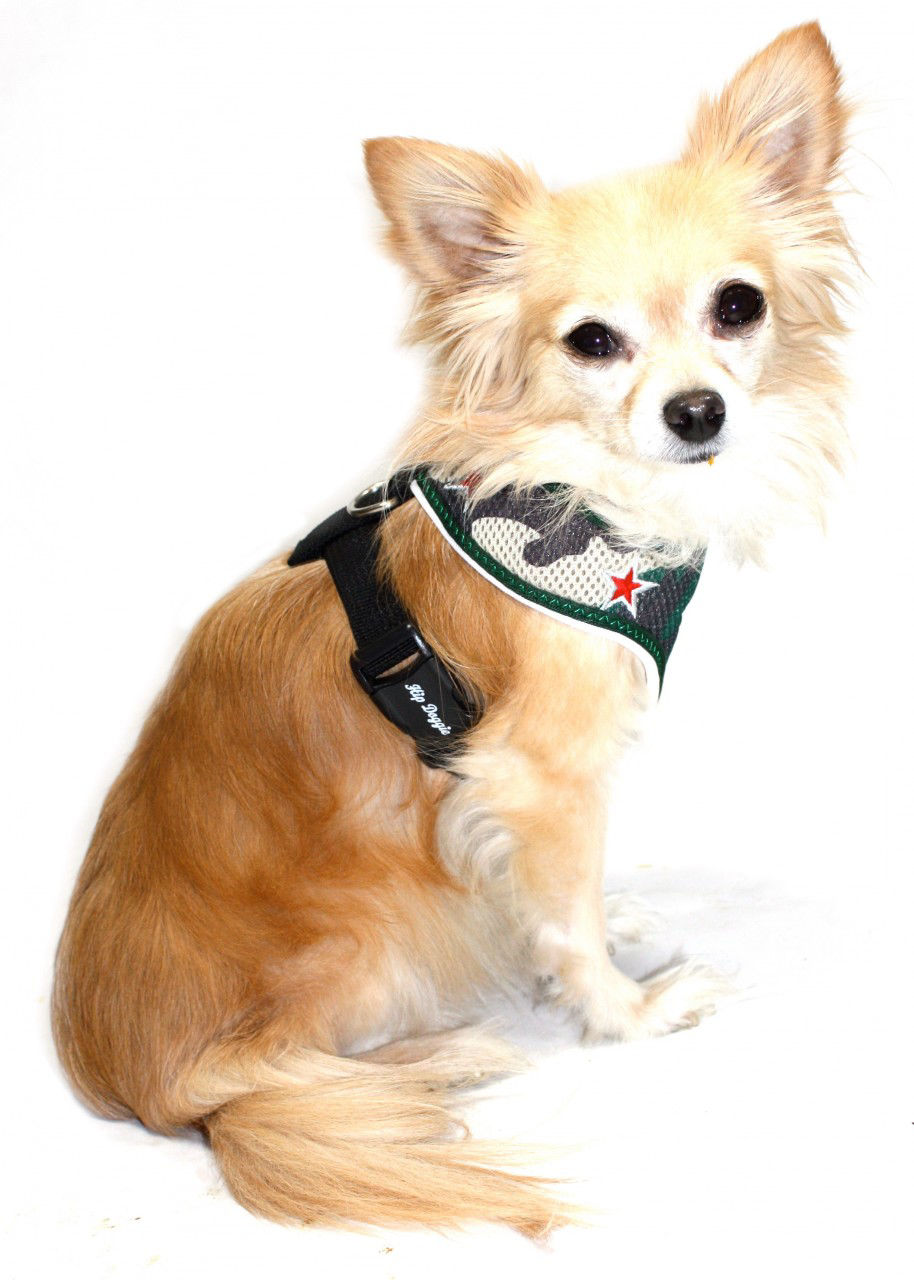 Picture of Super Star Mesh Harness Vest - Camoflauge.