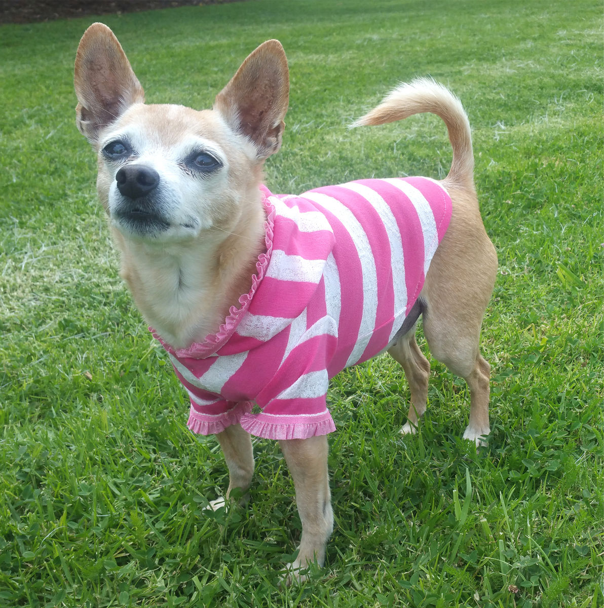 Picture of Pink Stripe Cherry Hoodie