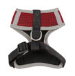 Picture of San Francisco 49ers Dog Harness Vest.