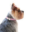 Picture of Bow Tie Collar - Pink