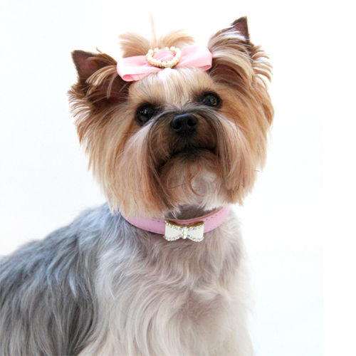 Picture of Bow Tie Collar - Pink