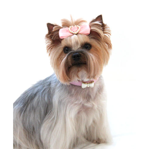 Picture of Bow Tie Collar - Pink