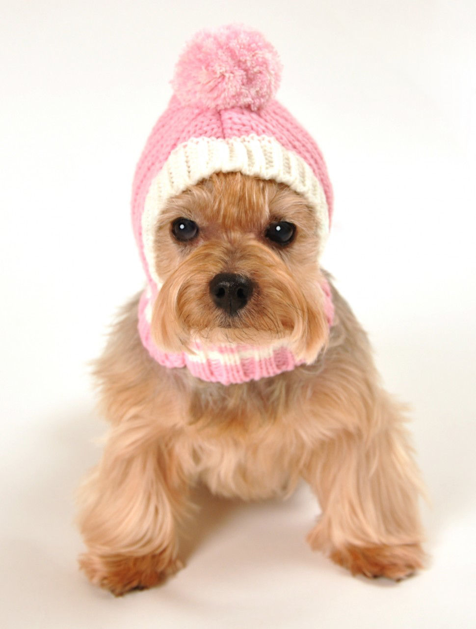 Picture of HD Crown Knit Hat - Pink