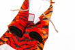 Picture of Tiger Costume