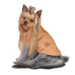 Picture of Faux Suede Puffer Vest