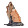 Picture of Faux Suede Puffer Vest