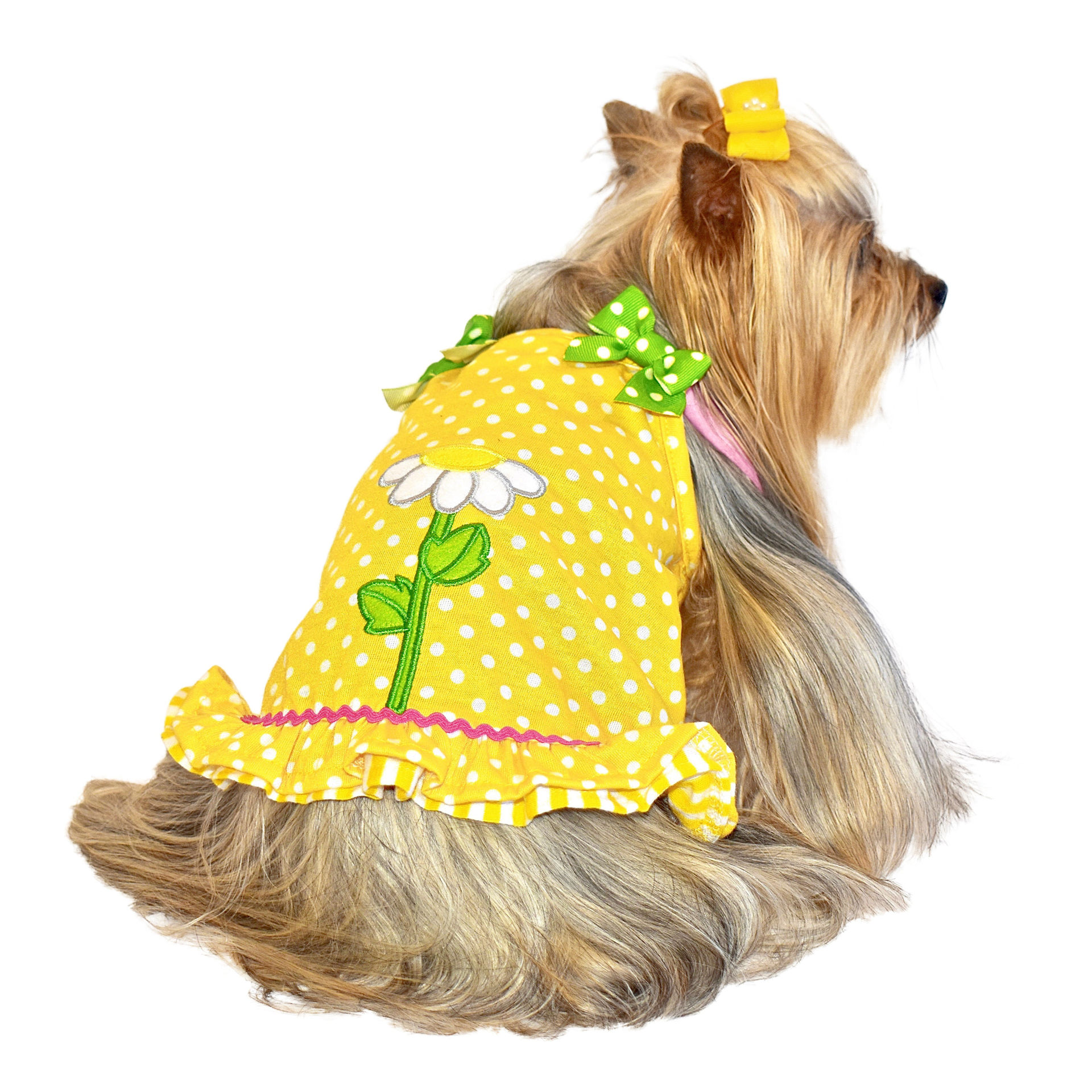 Picture of Daisy Applique Dress