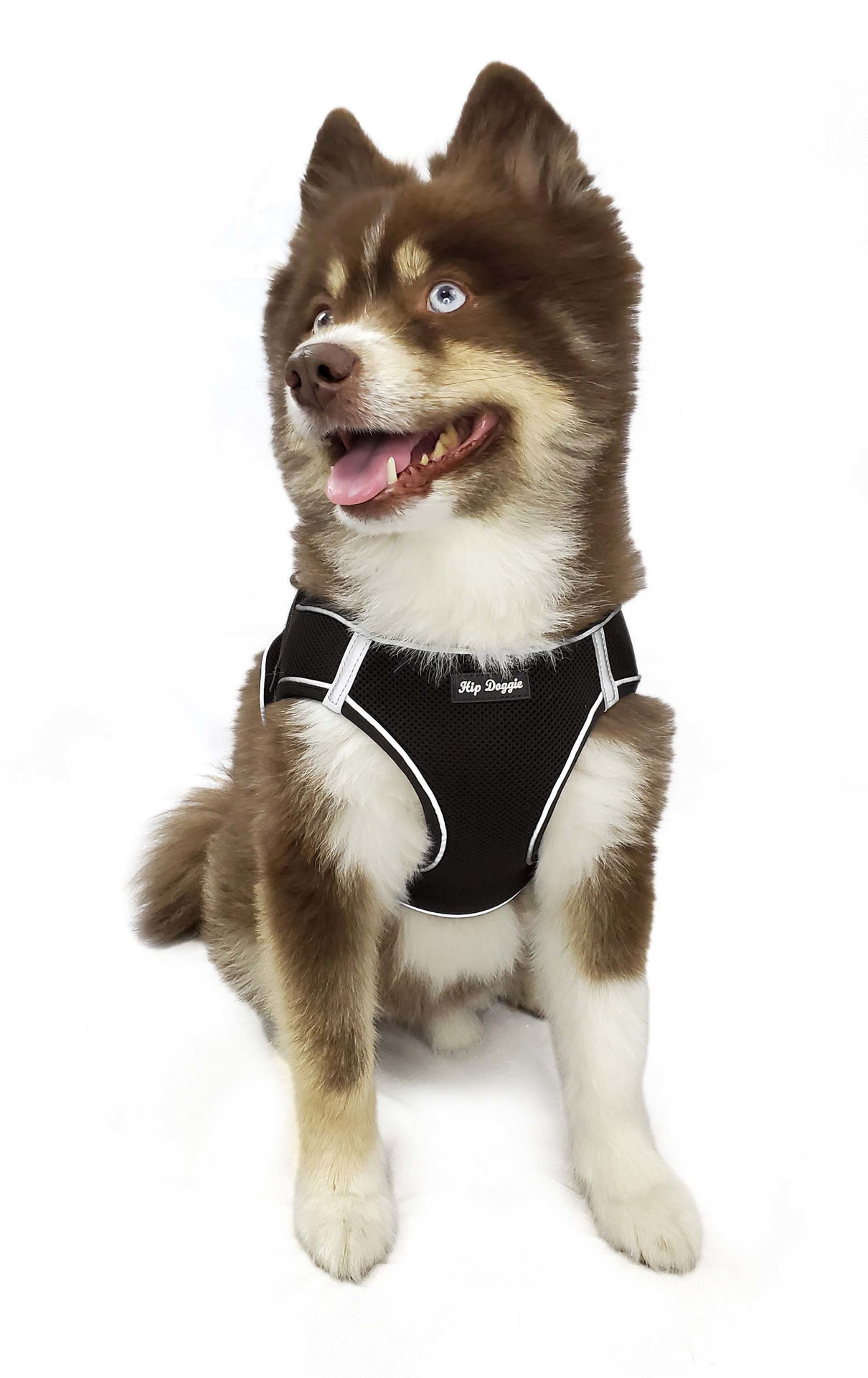 Picture of EZ Step-In  Harness Vest - Black