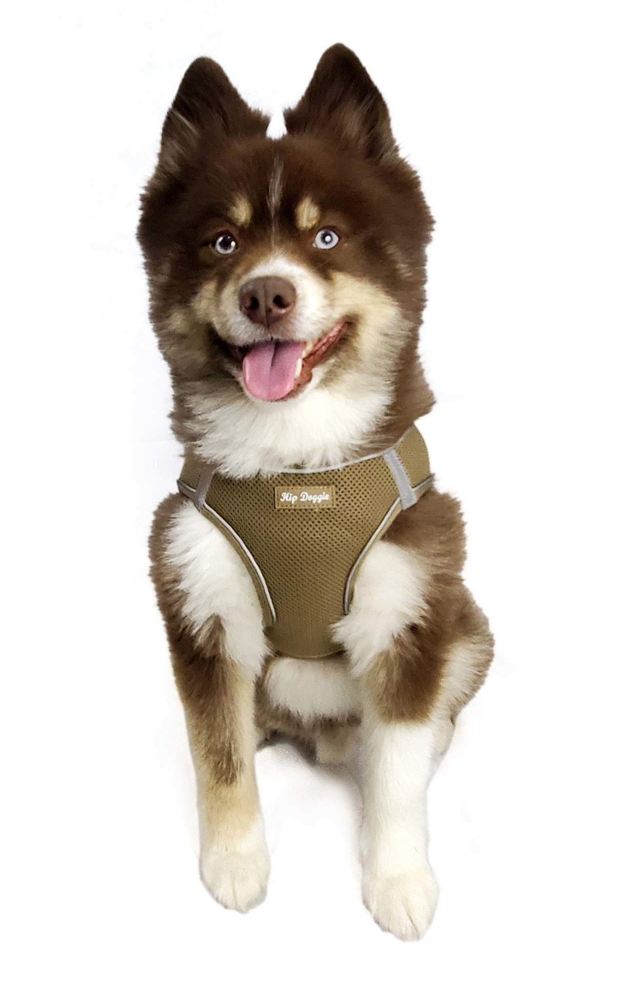 Picture of EZ Step-In Harness Vest - Tan