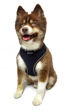 Picture of Ultra Comfort Reflective Harness - Black