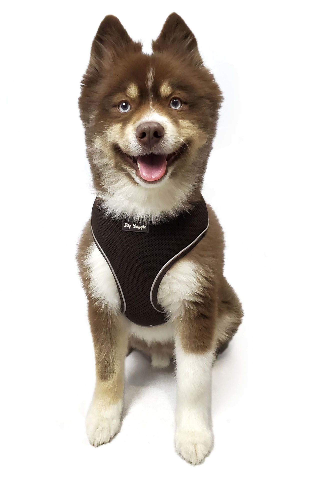 Picture of Ultra Comfort Reflective Harness - Brown