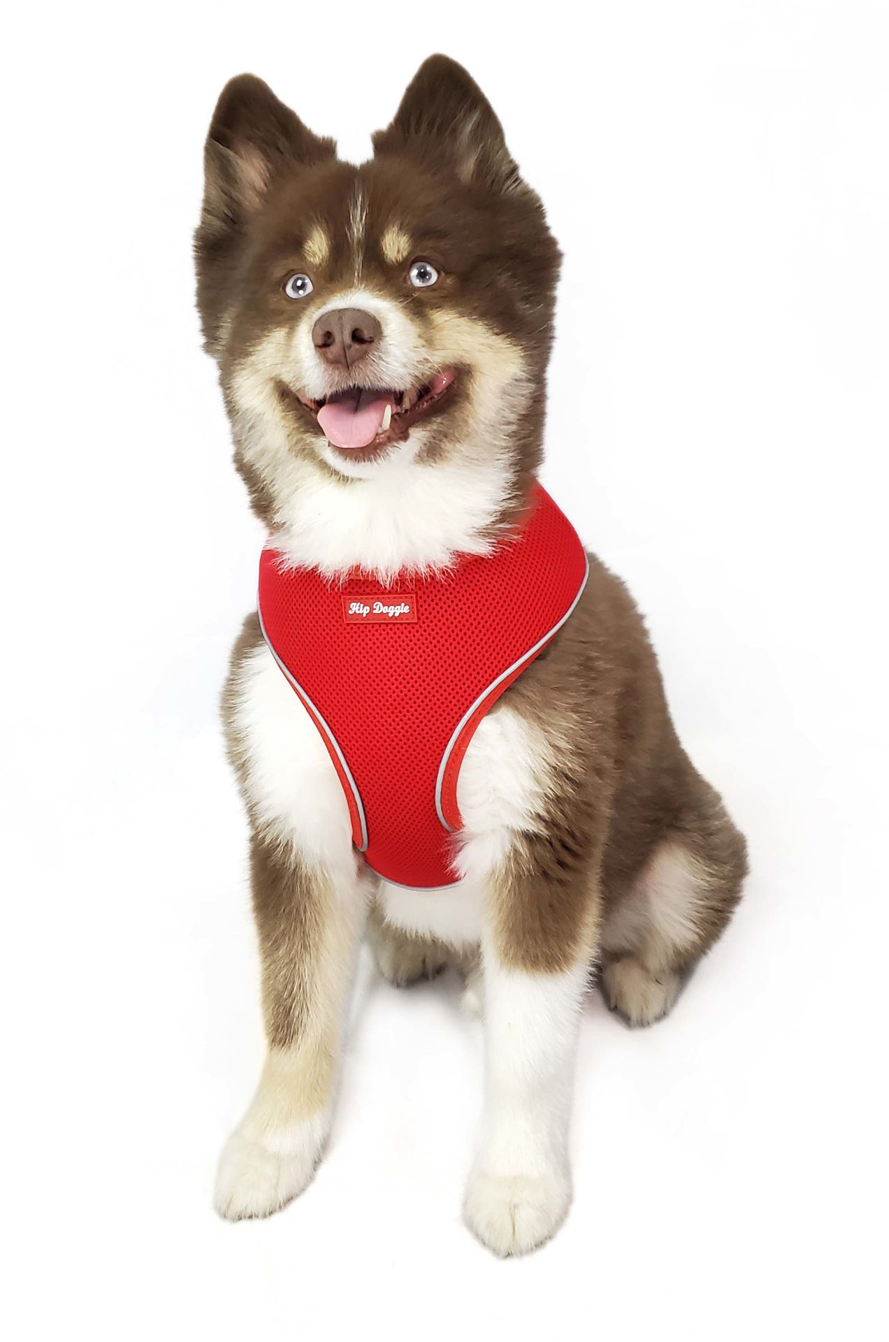 Picture of Ultra Comfort Reflective Harness - Red