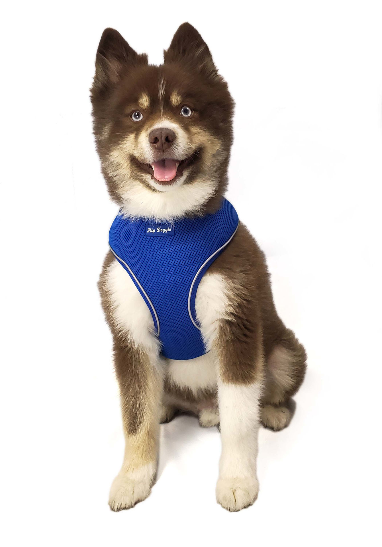 Picture of Ultra Comfort Reflective Harness - Royal Blue