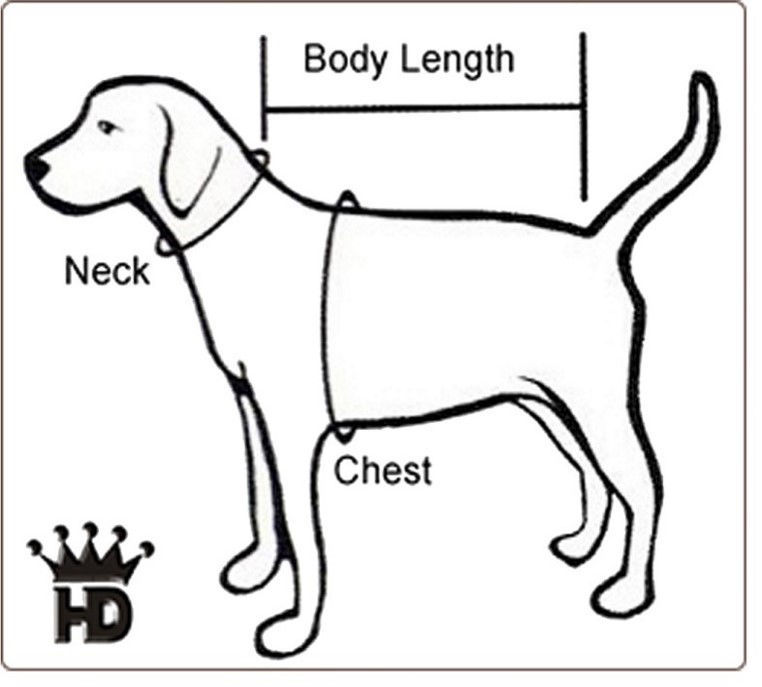 Picture of Adjustable Collar Party - LED Buckle