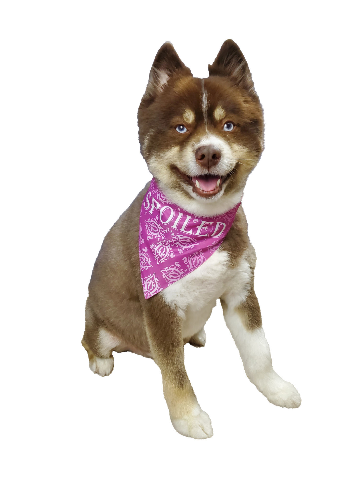 Picture of Two Sided Bandana - Princess Bandana