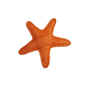 Picture of Organic Vegetable Dental Toy - Starfish Loofah