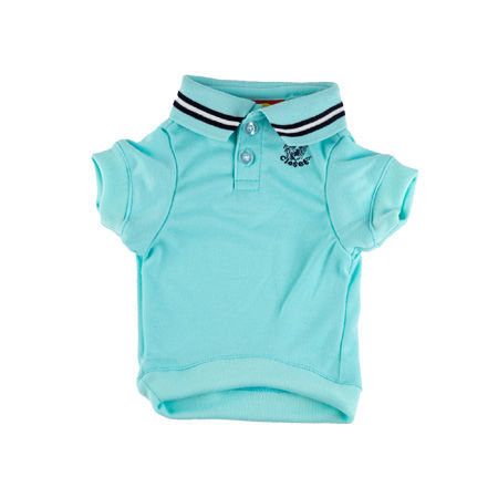 Picture of Turquoise Polo Shirt