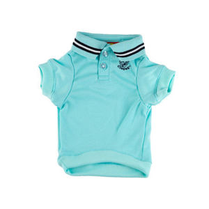 Picture of Turquoise Polo Shirt