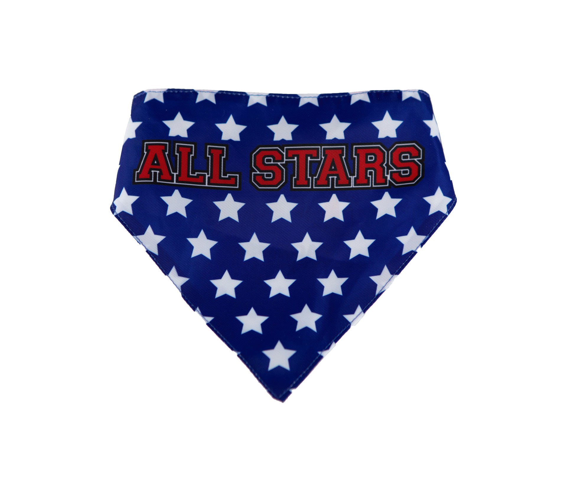 Picture of Two Sided Bandana - USA