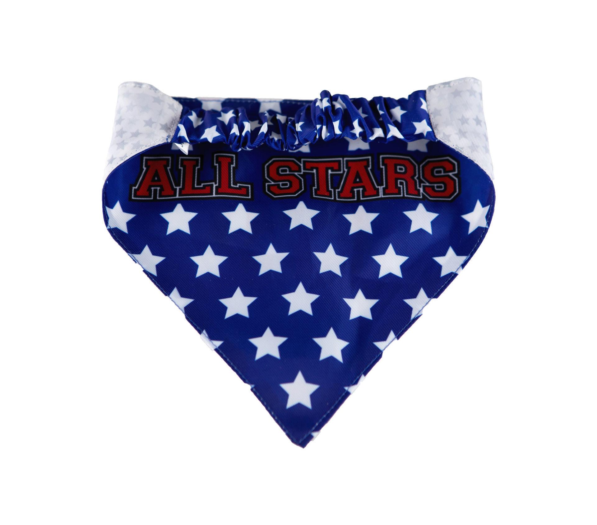 Picture of Two Sided Bandana - USA