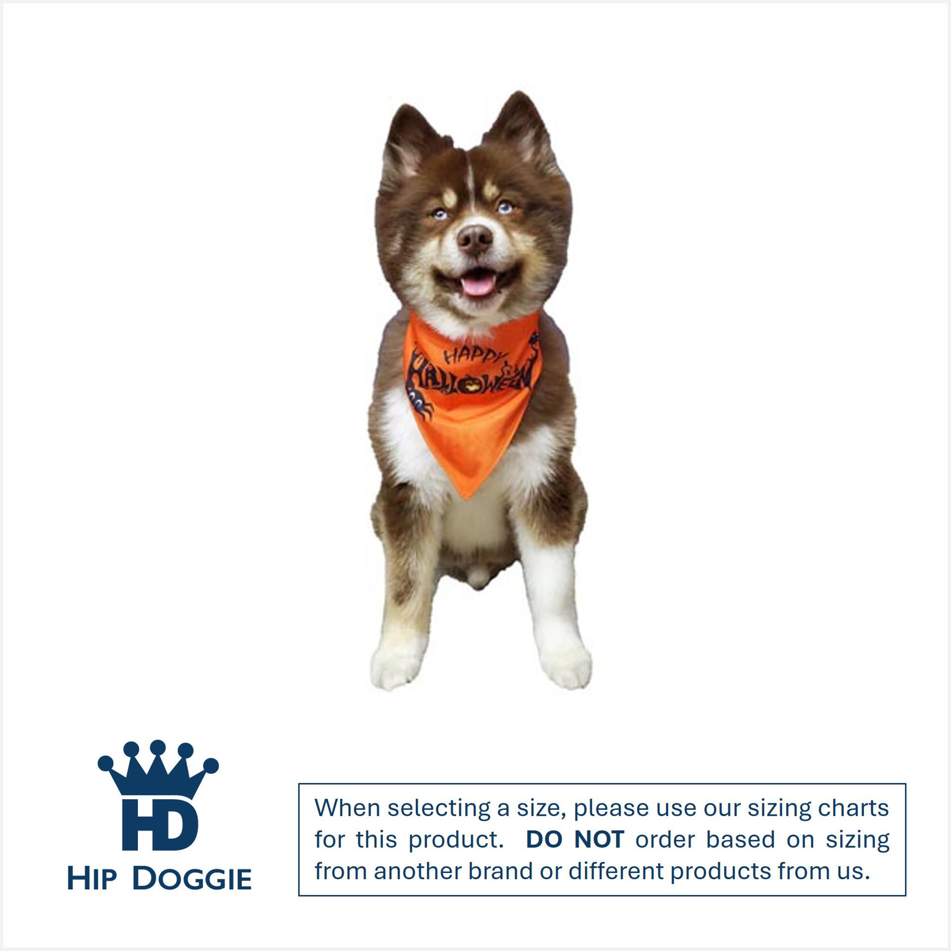 Picture of Two Sided Bandana - Halloween Boo
